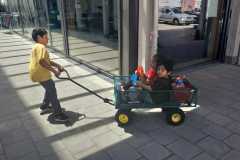 WhatsApp-Image-2026-06-14-at-12.45.15678uztrgfd